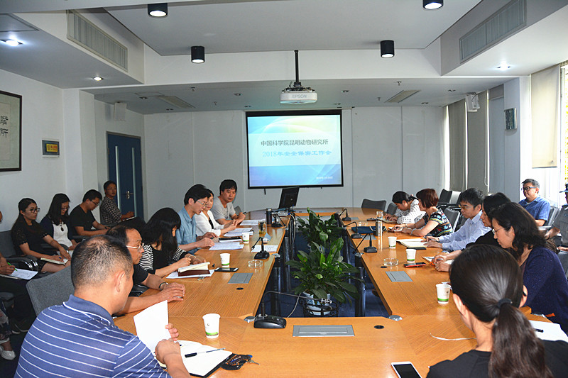 电子游戏app下载安装