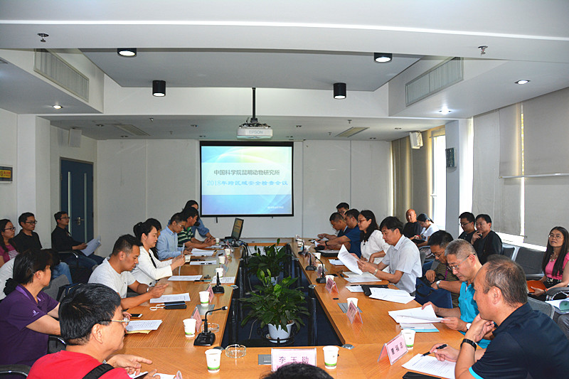 电子游戏app下载安装