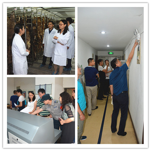 电子游戏app下载安装