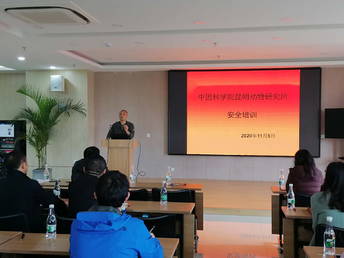 电子游戏app下载安装