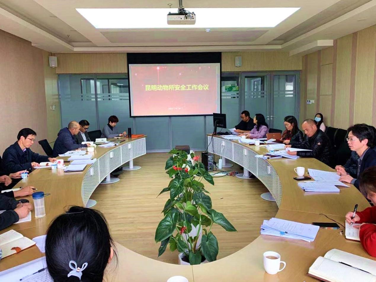 电子游戏app下载安装