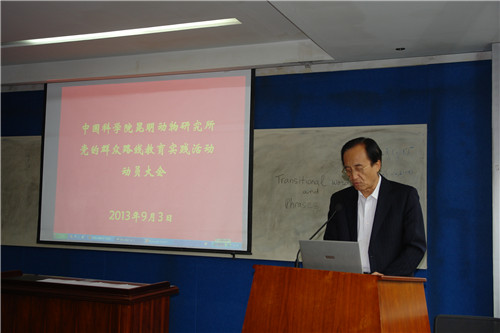 电子游戏app下载安装