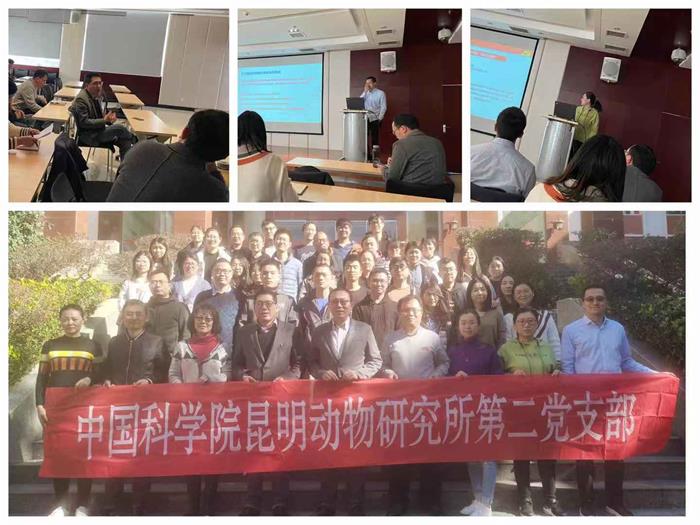 电子游戏app下载安装