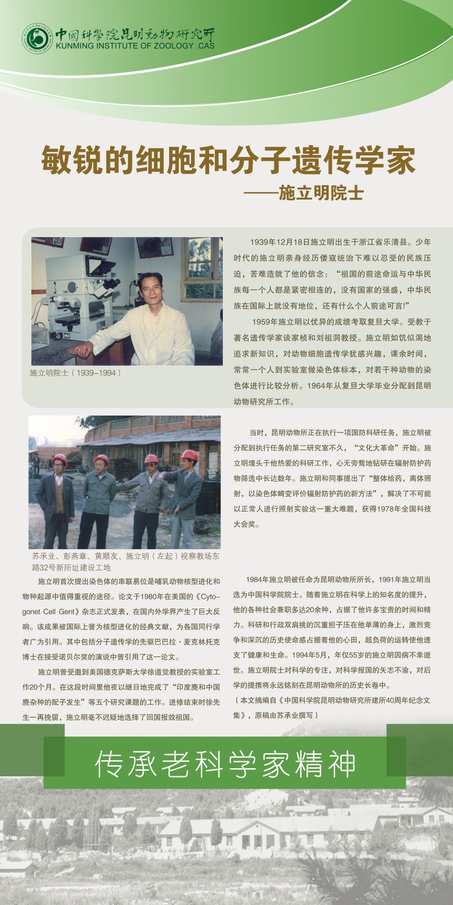 电子游戏app下载安装