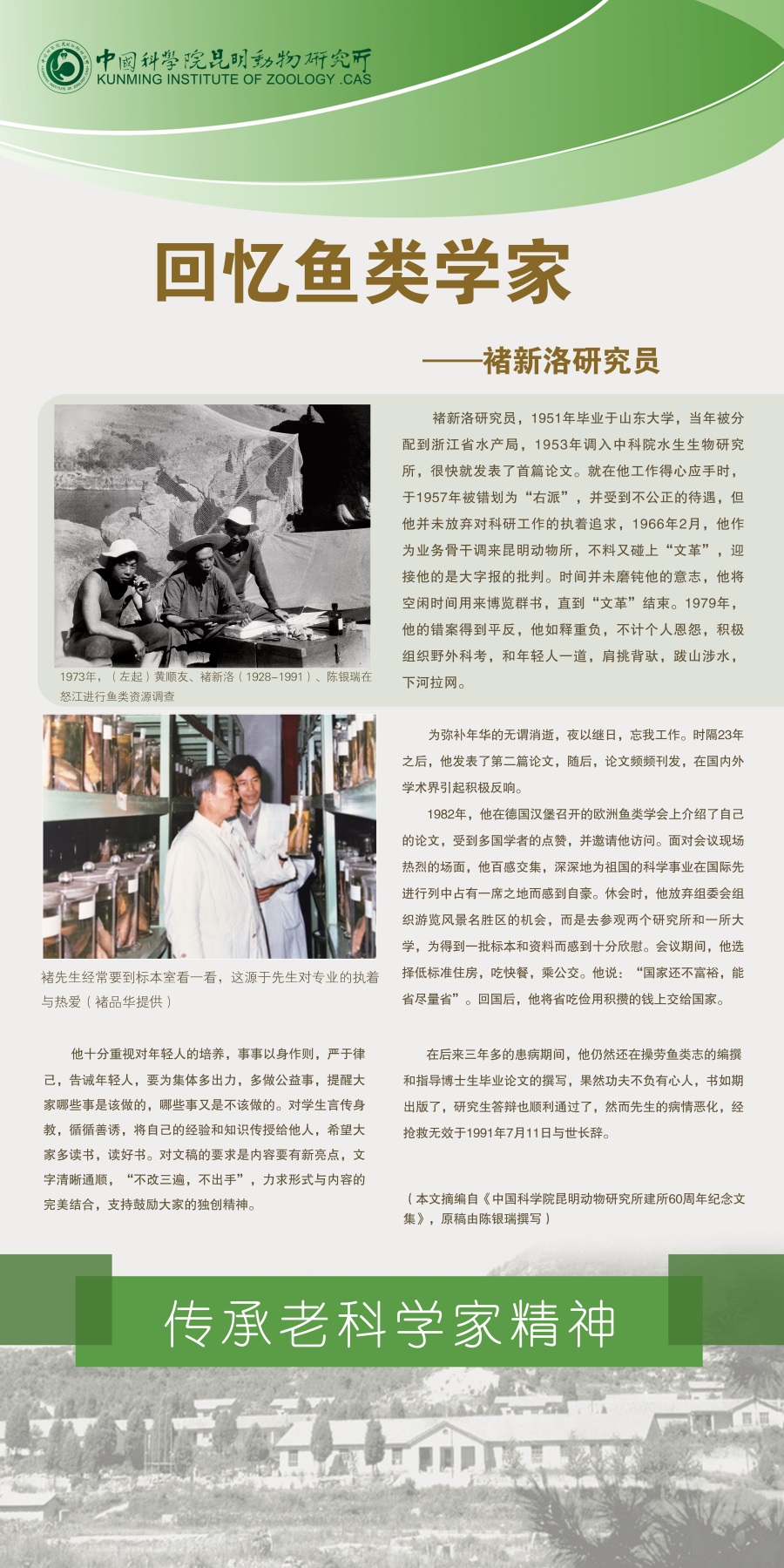 电子游戏app下载安装