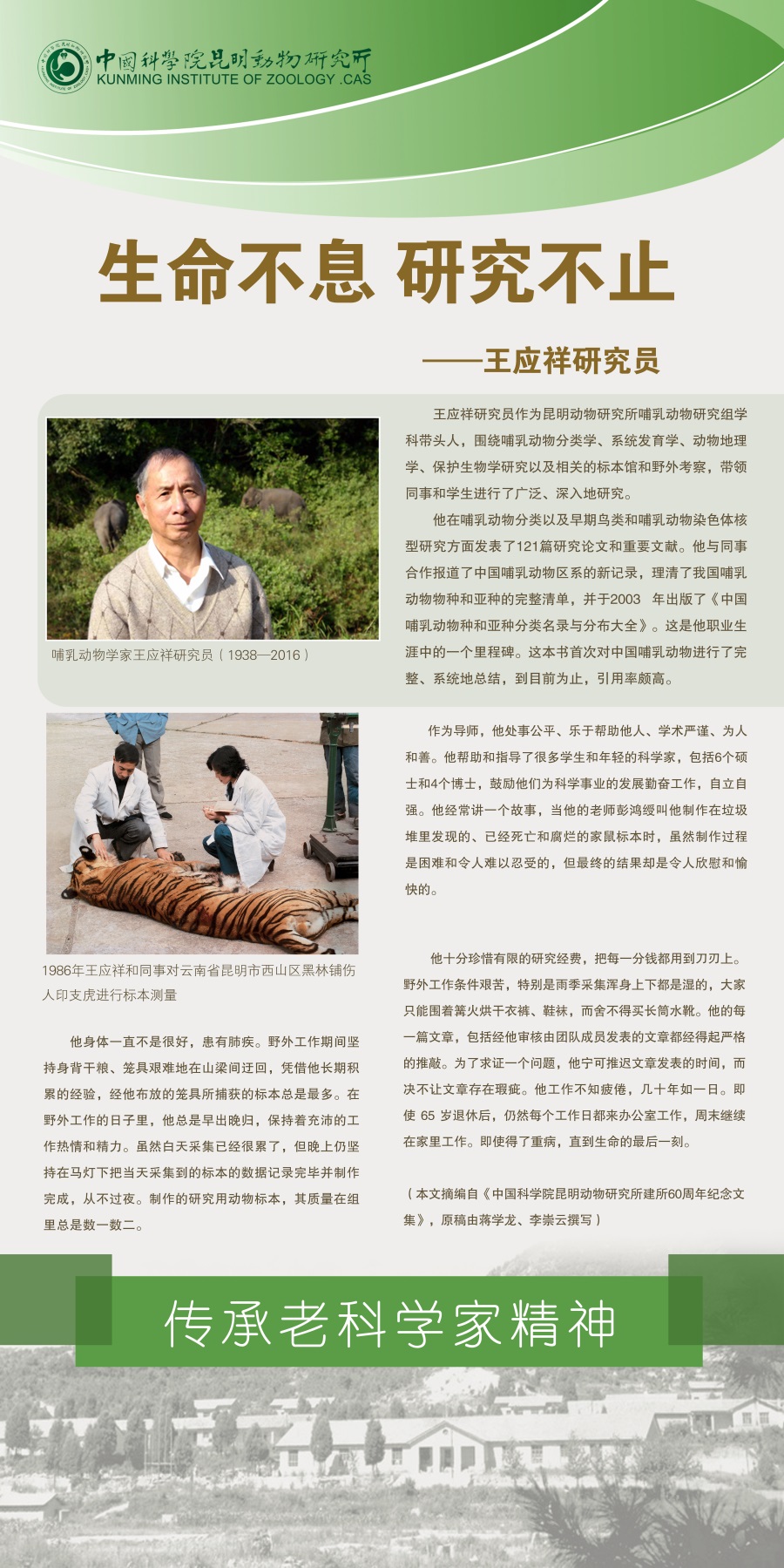 电子游戏app下载安装