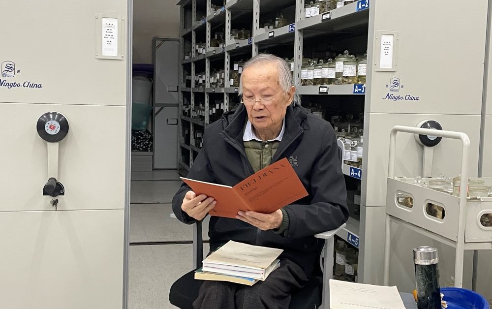 电子游戏app下载安装