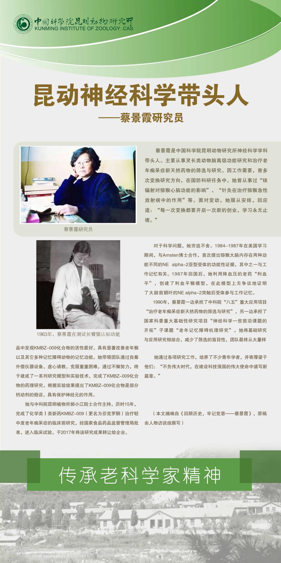 电子游戏app下载安装