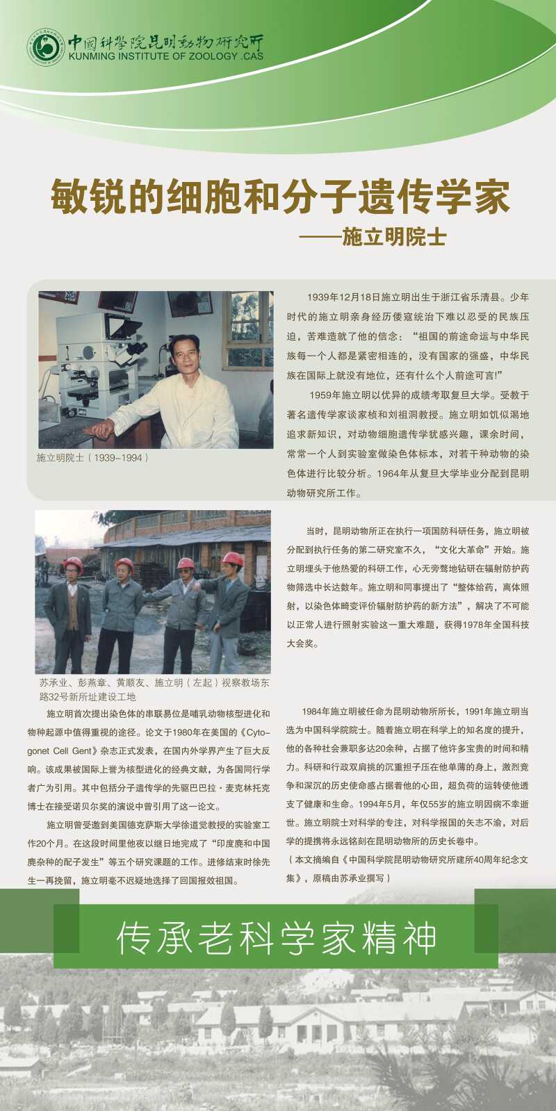 电子游戏app下载安装