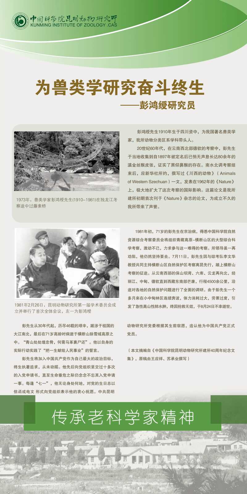 电子游戏app下载安装