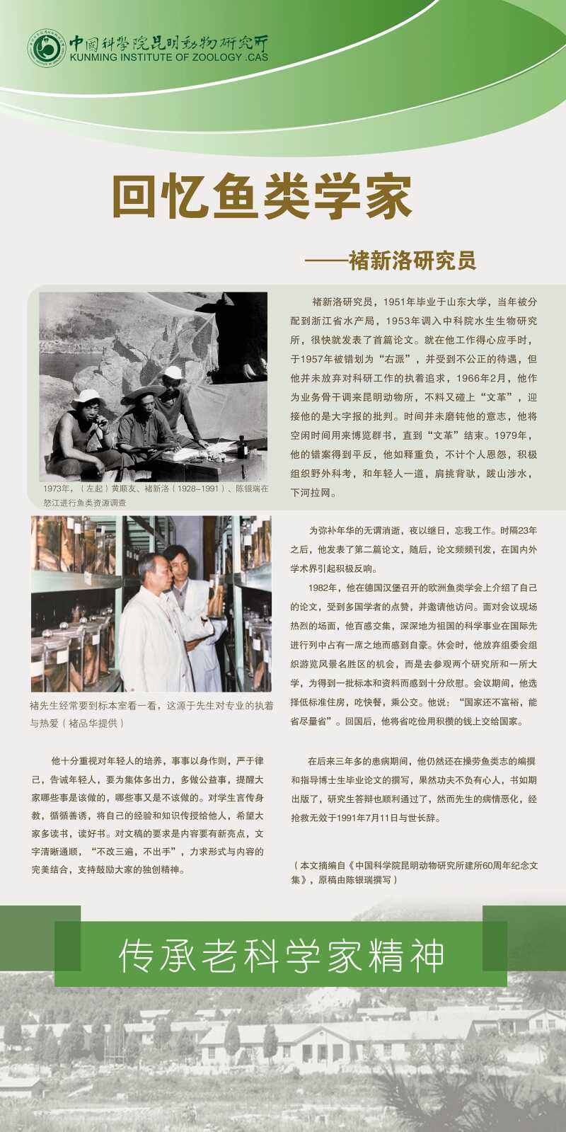 电子游戏app下载安装