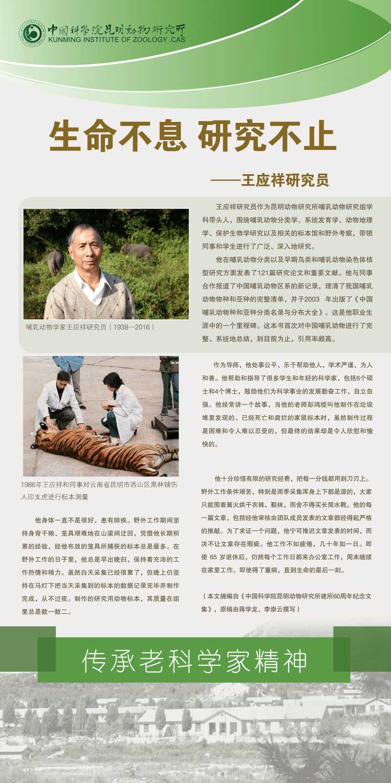 电子游戏app下载安装