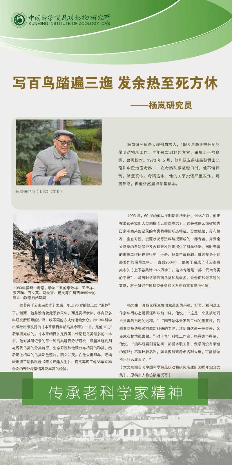 电子游戏app下载安装