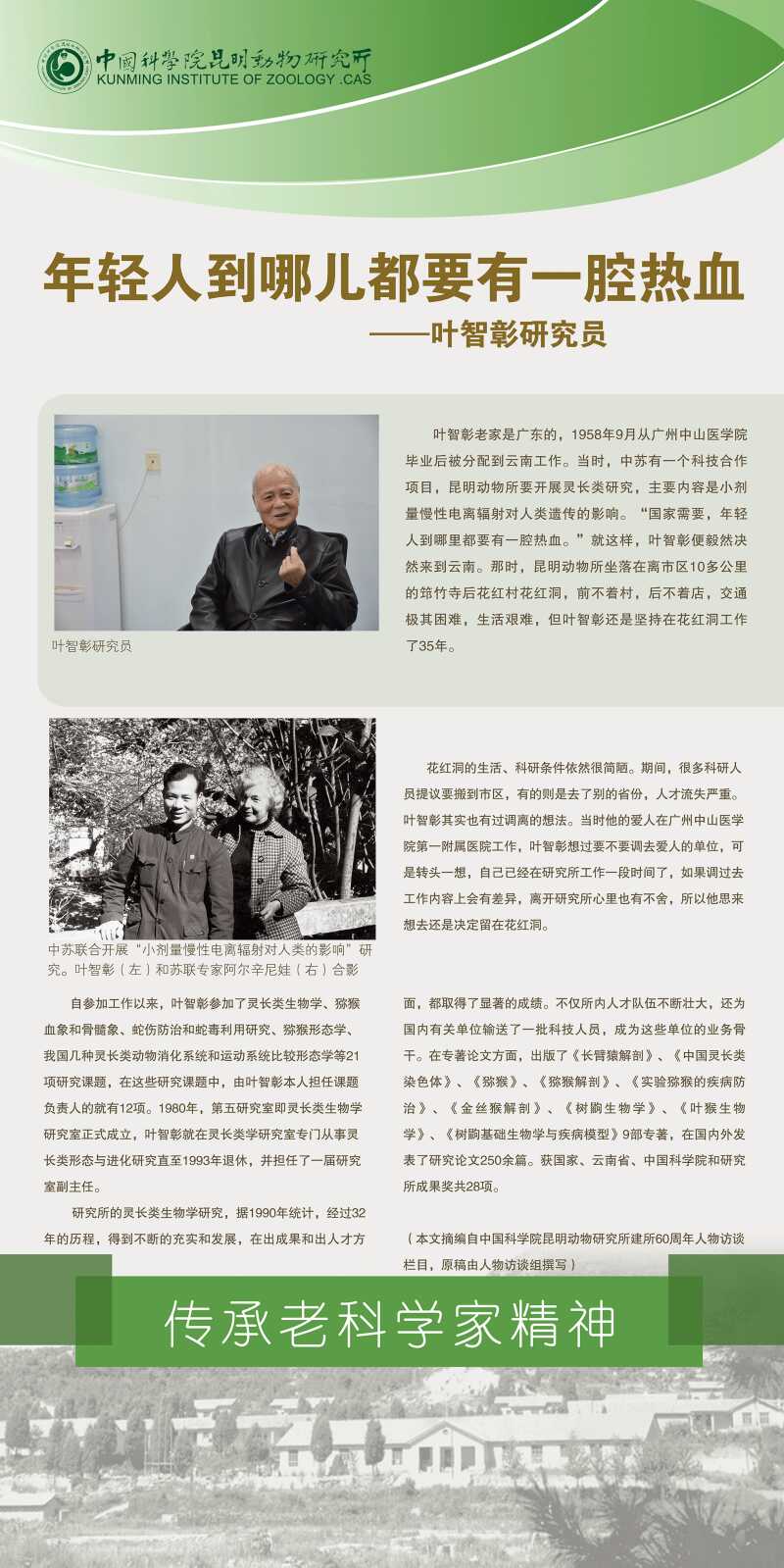 电子游戏app下载安装