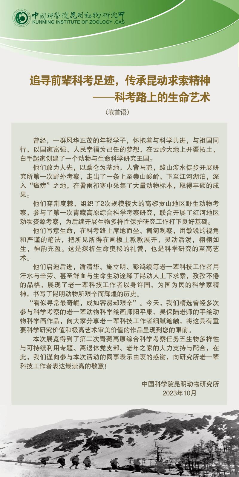 电子游戏app下载安装