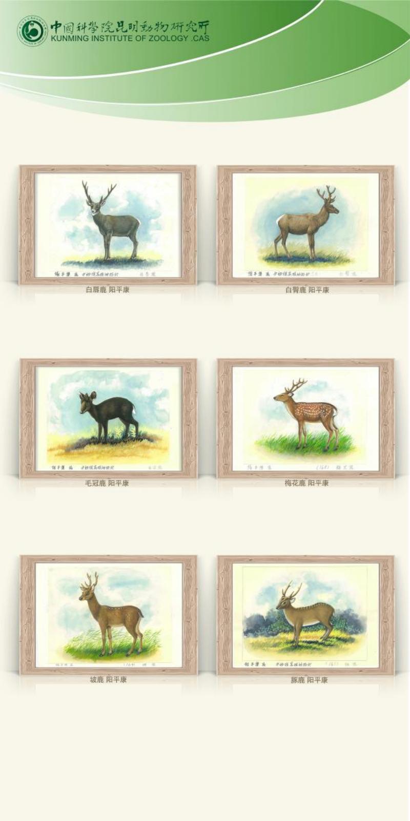 电子游戏app下载安装