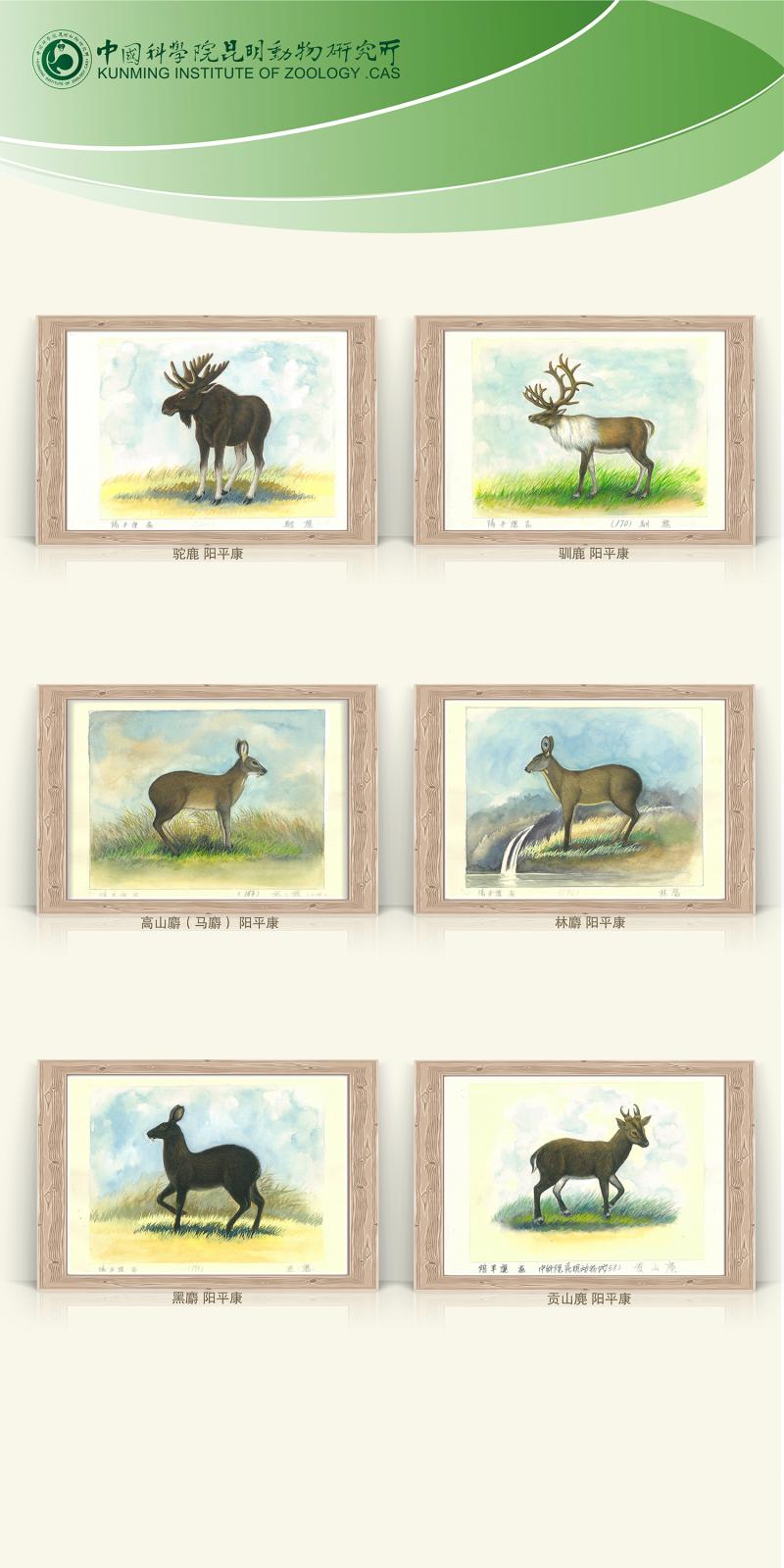 电子游戏app下载安装