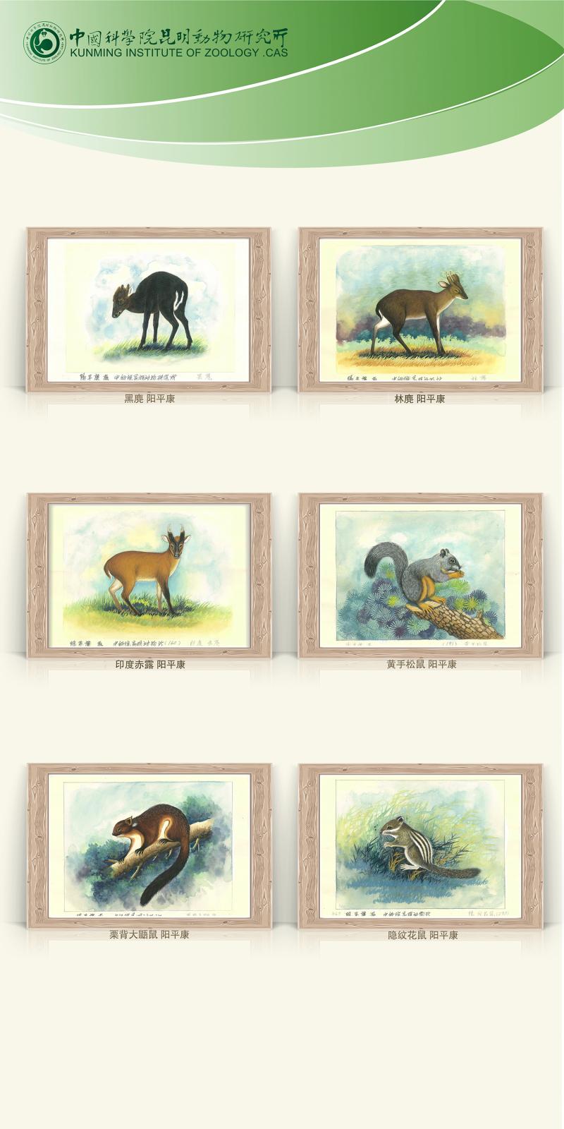 电子游戏app下载安装