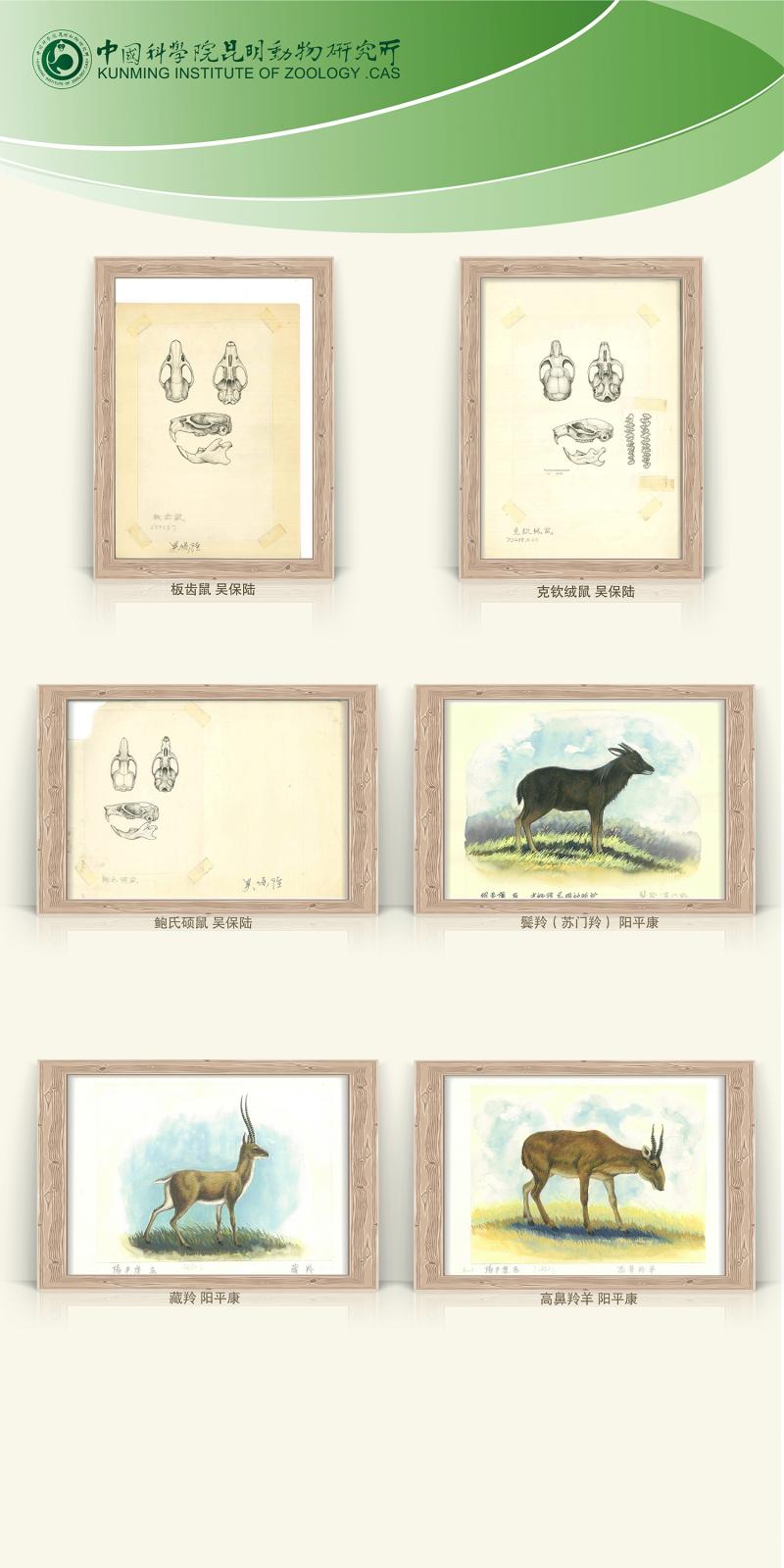 电子游戏app下载安装