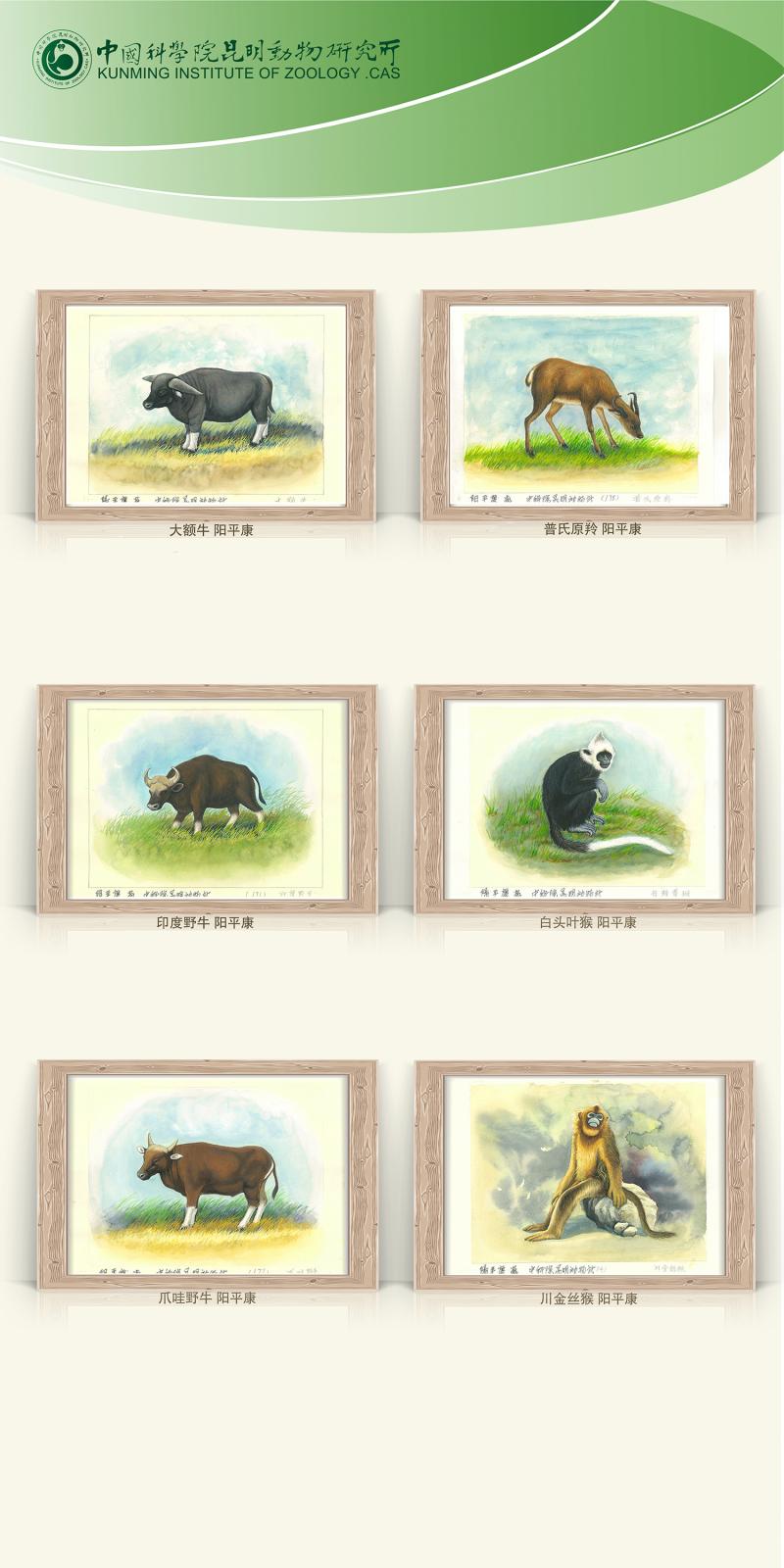 电子游戏app下载安装