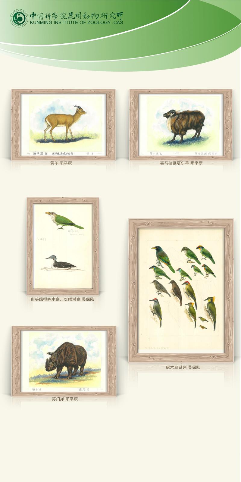 电子游戏app下载安装