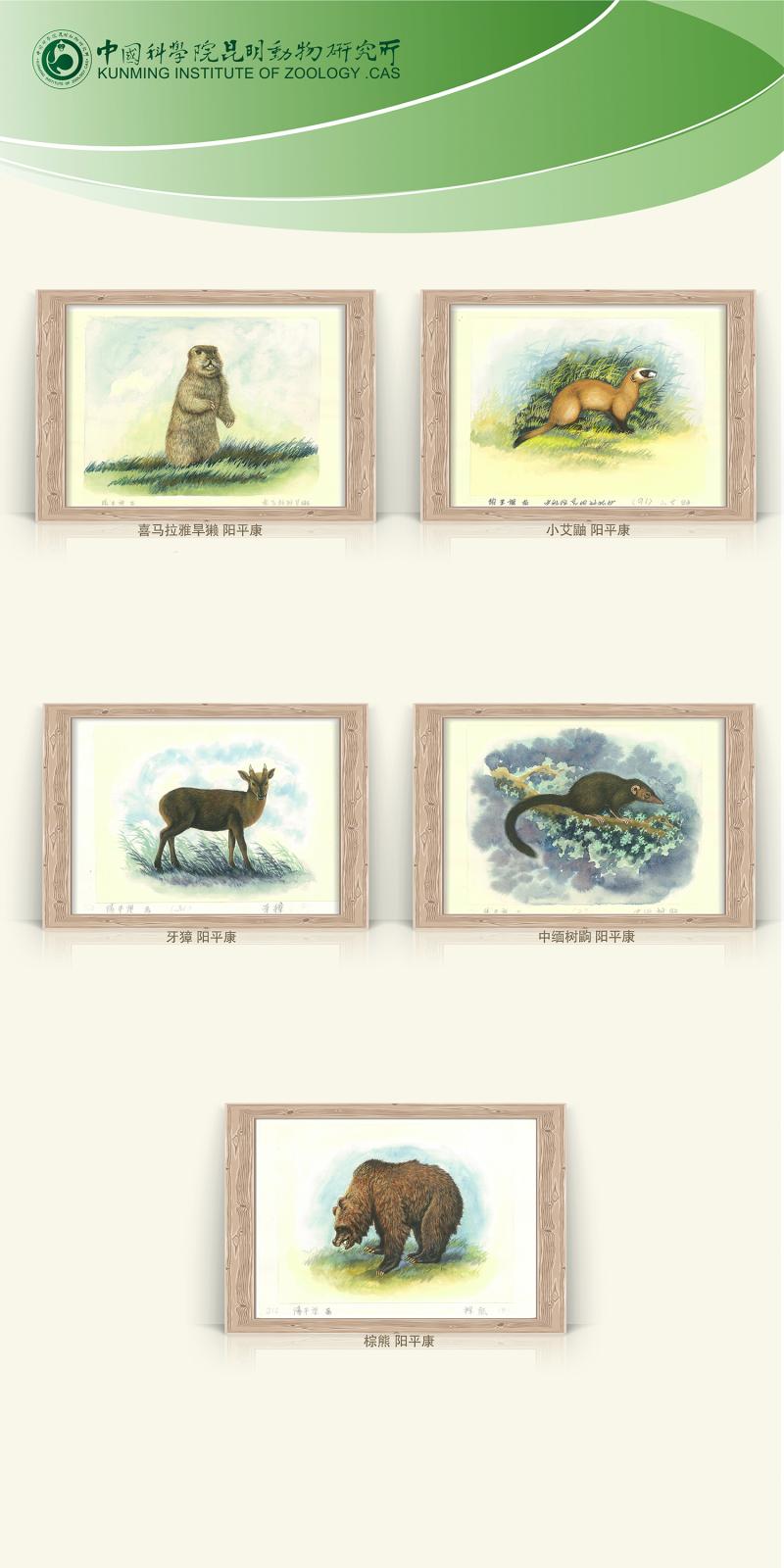 电子游戏app下载安装