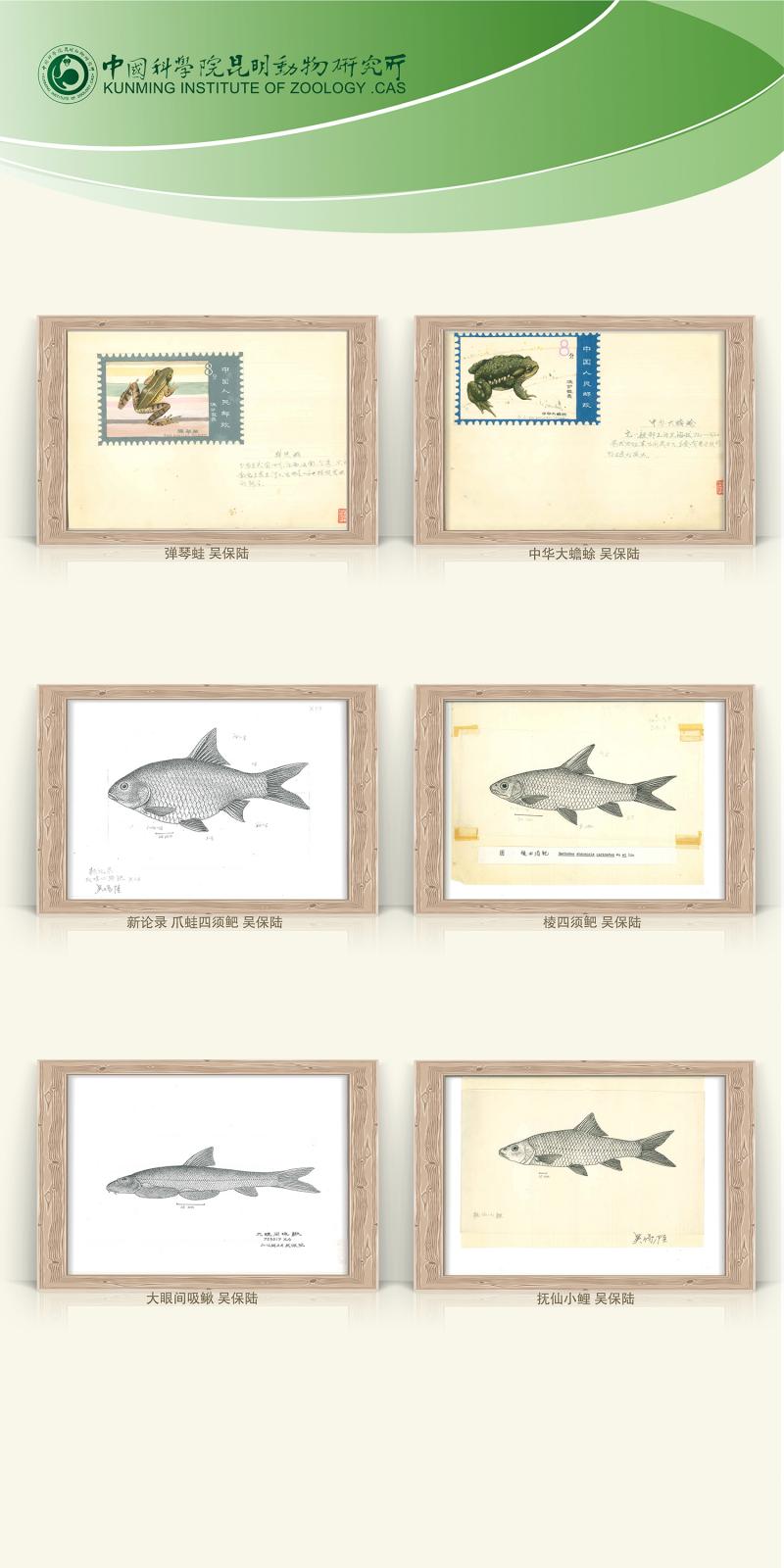 电子游戏app下载安装