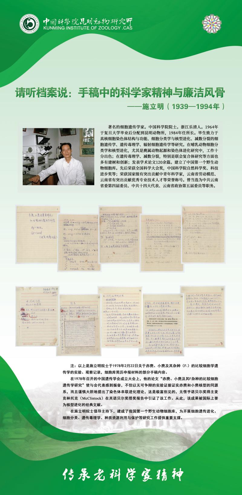 电子游戏app下载安装