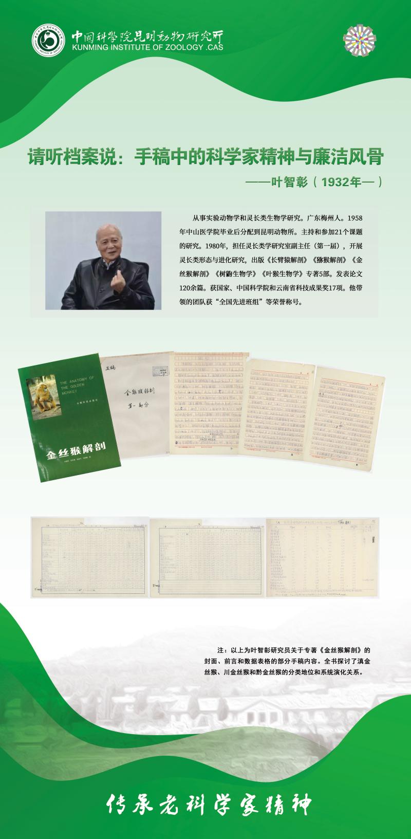 电子游戏app下载安装