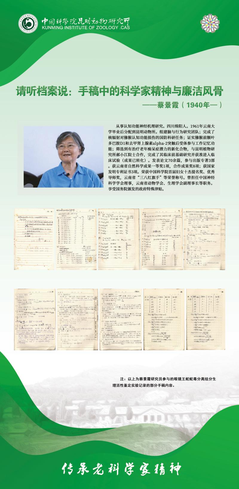 电子游戏app下载安装