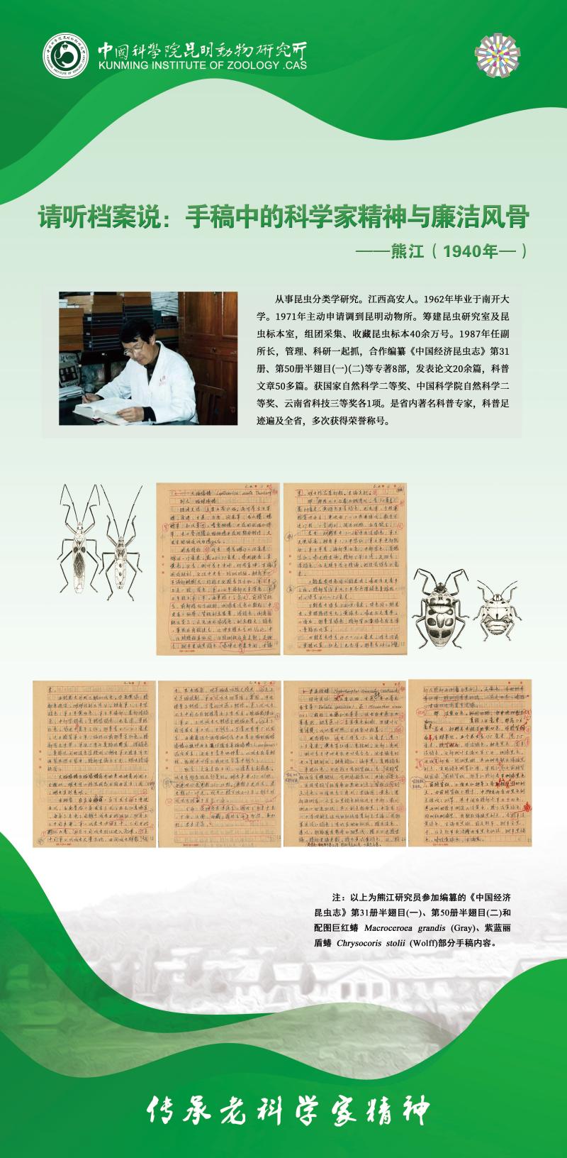 电子游戏app下载安装