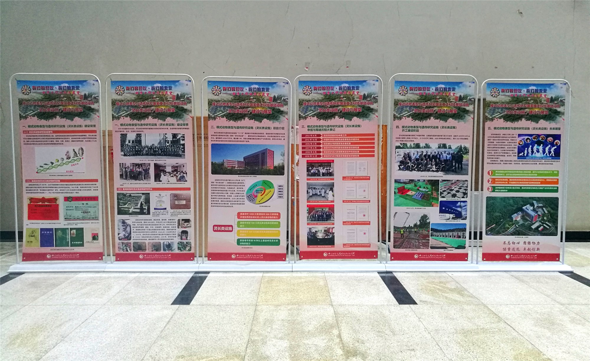 电子游戏app下载安装