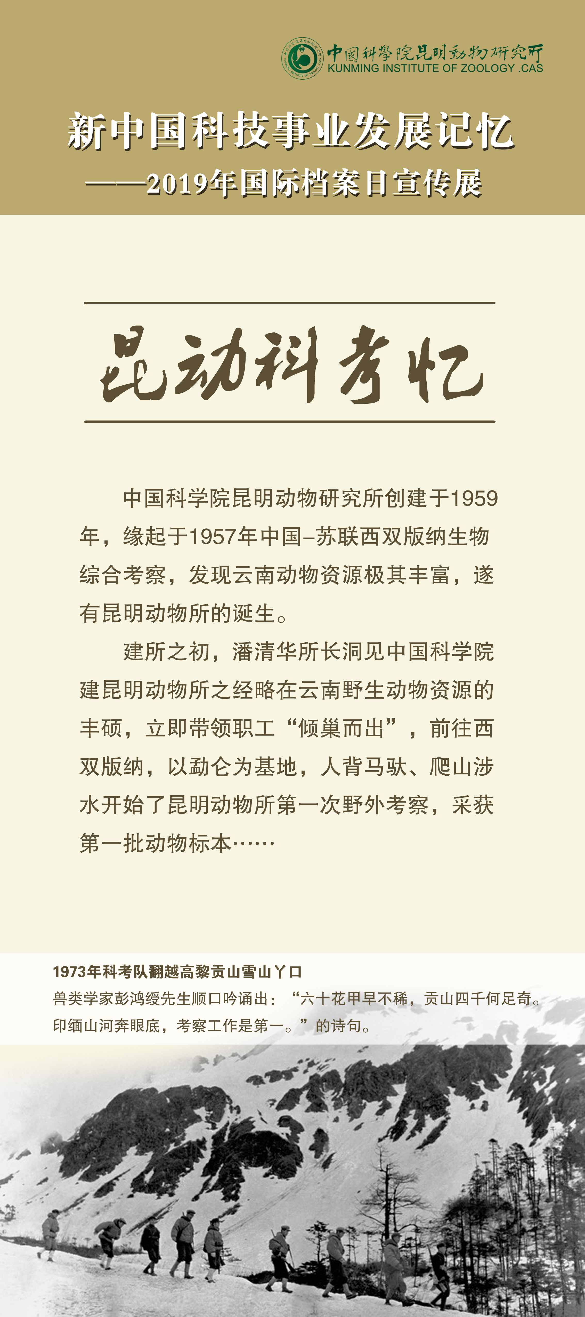 电子游戏app下载安装