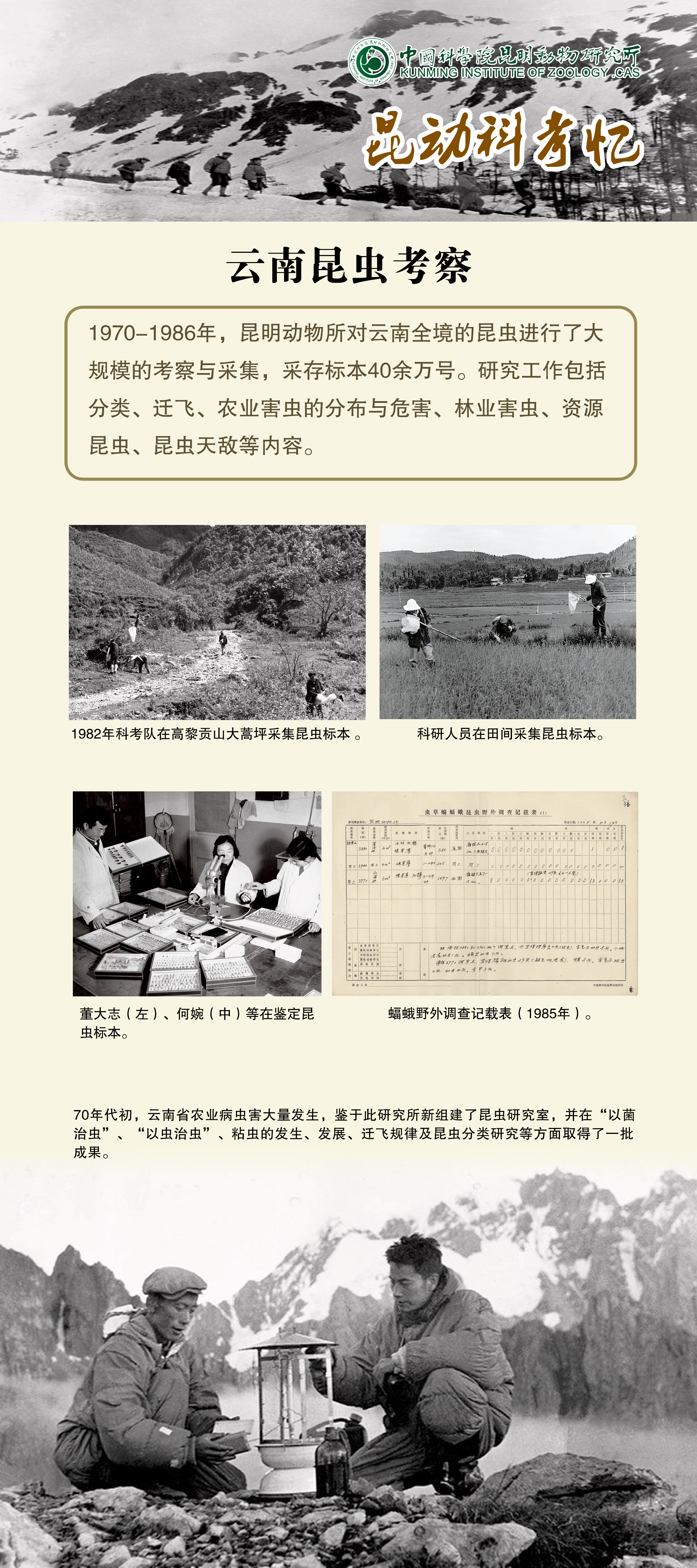 电子游戏app下载安装