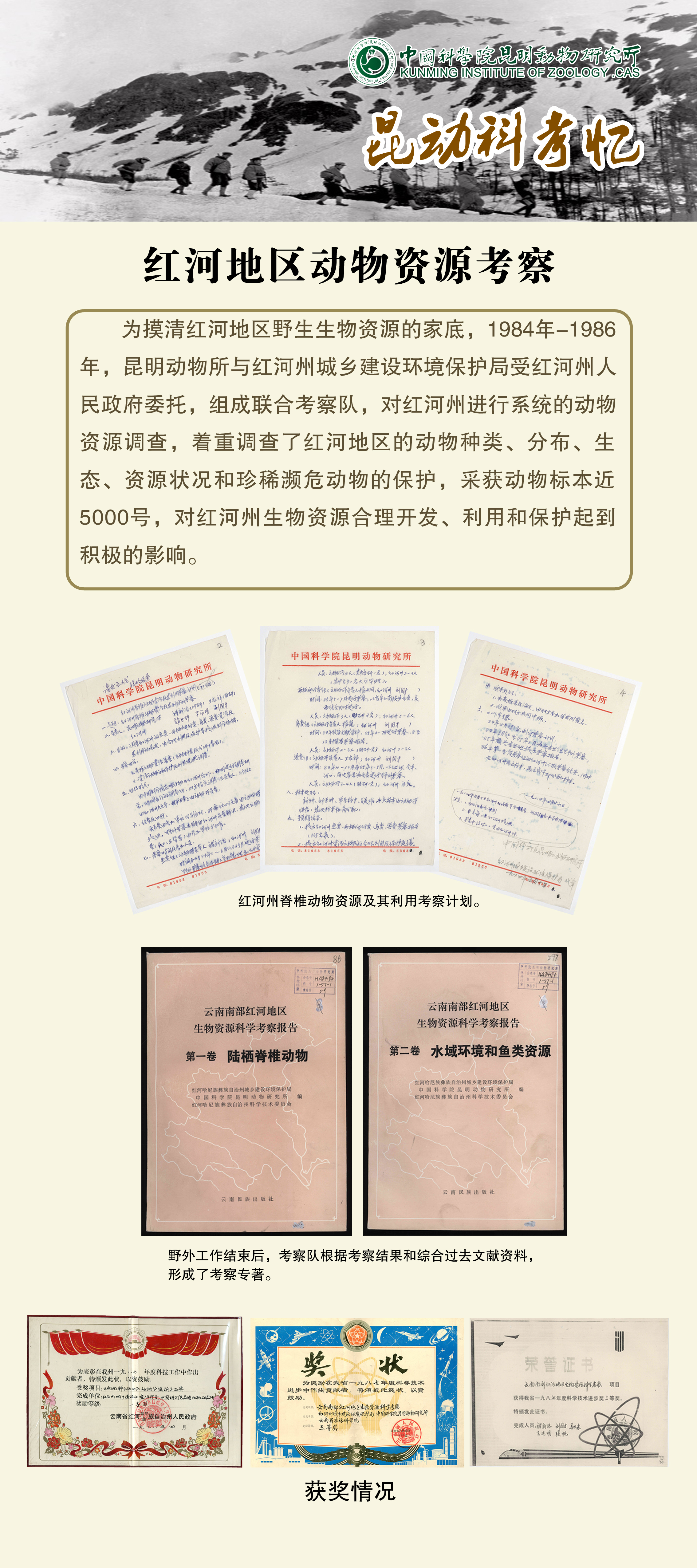 电子游戏app下载安装