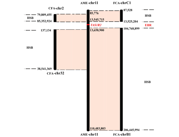 电子游戏app下载安装