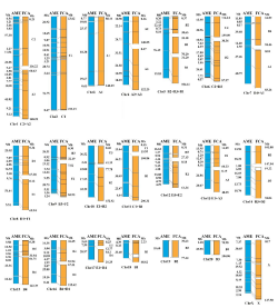 GENOME BIOL|动物生态与保护遗传学研究组从基因组水平揭示食肉目染色体进化