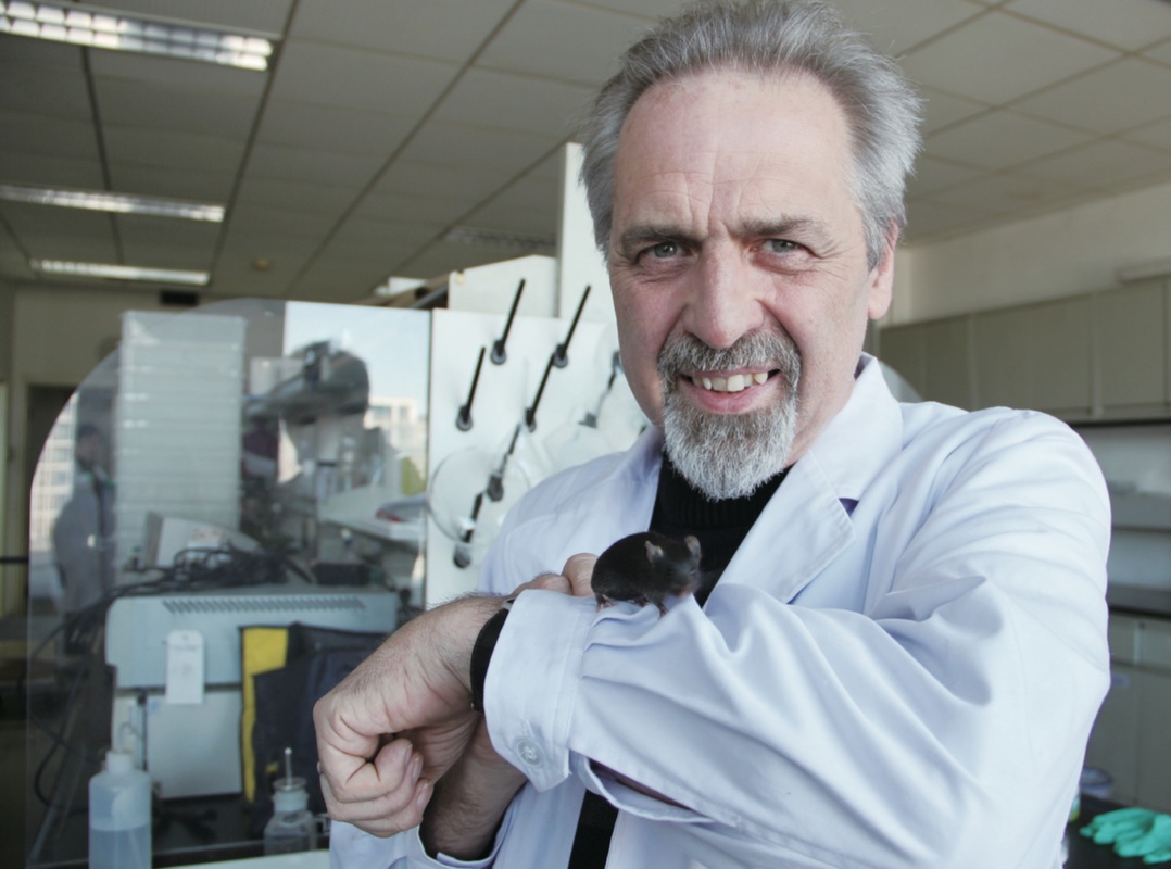 电子游戏app下载安装