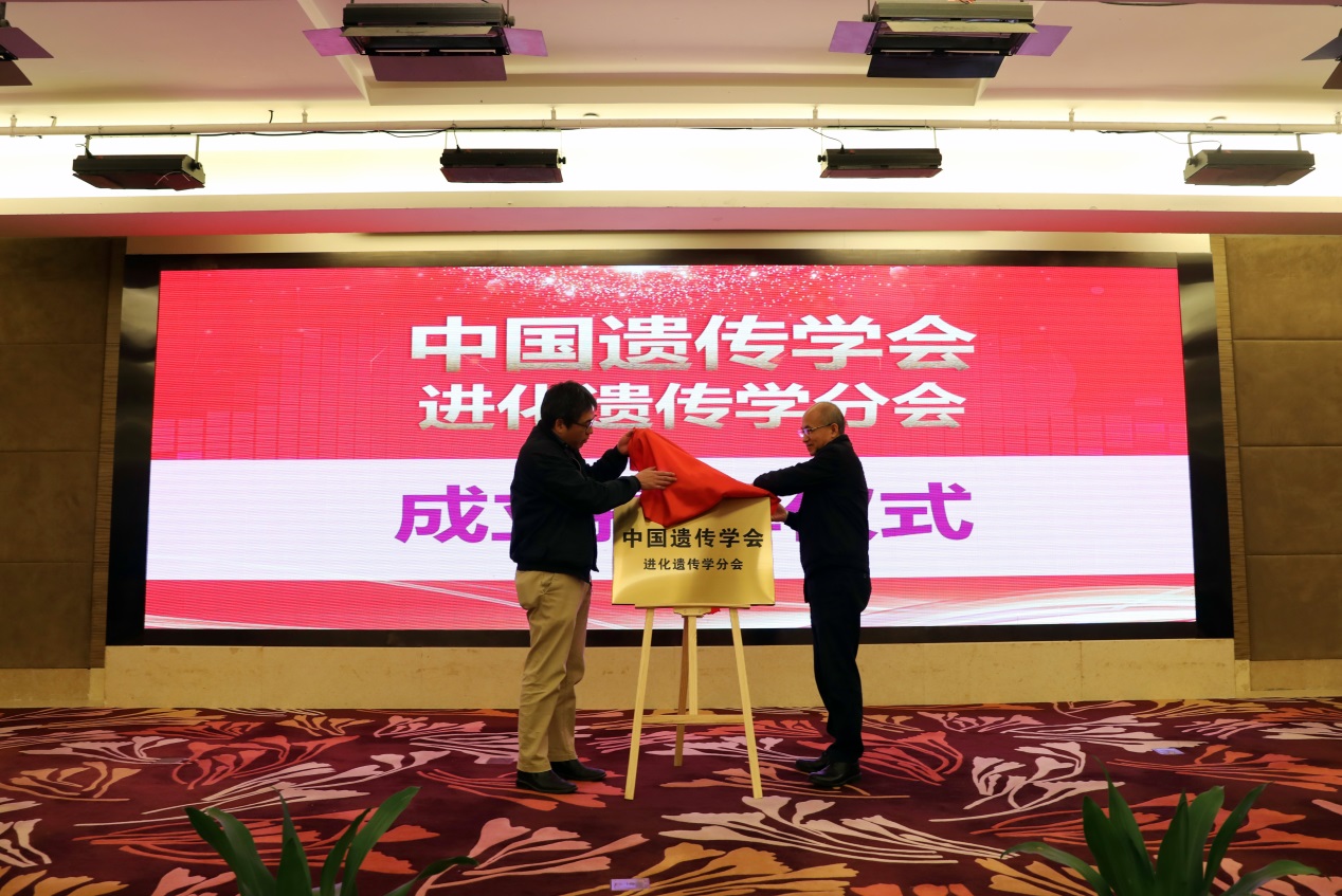 电子游戏app下载安装