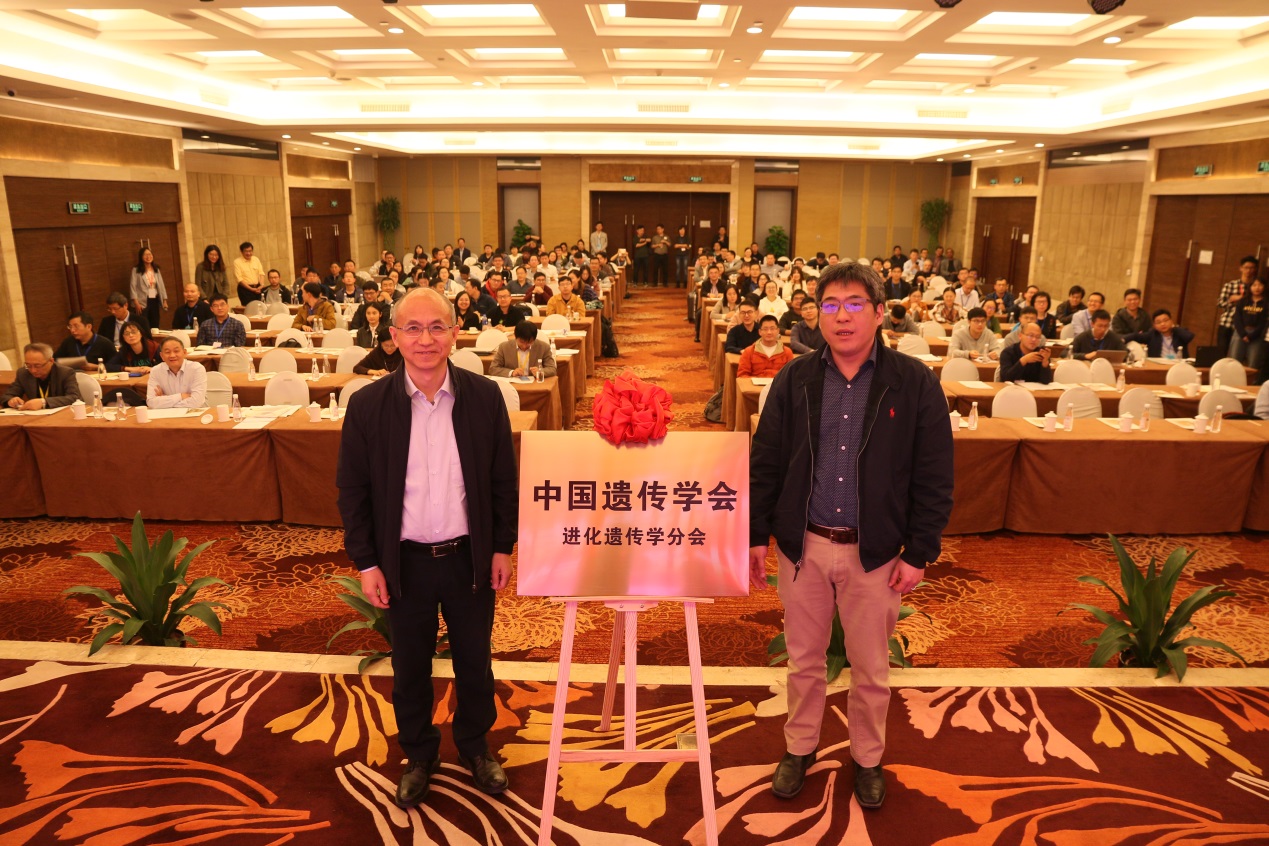 电子游戏app下载安装