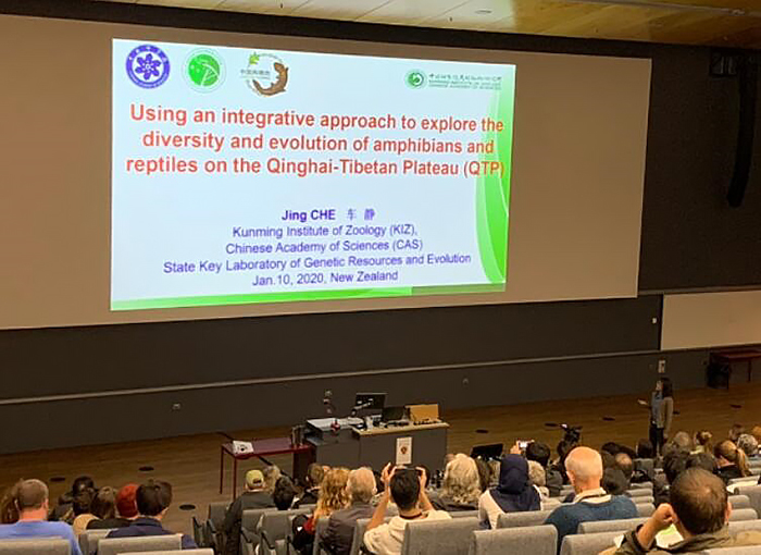 电子游戏app下载安装