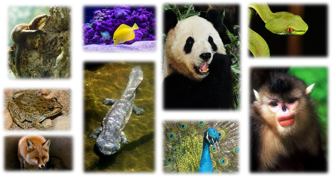 电子游戏app下载安装